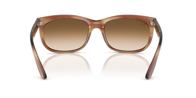 Ray-Ban Balorette RB2389 Striped Brown/Clear Brown Gradient #colour_striped-brown-clear-brown-gradient