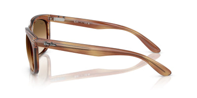 Ray-Ban Balorette RB2389 Striped Brown/Clear Brown Gradient #colour_striped-brown-clear-brown-gradient