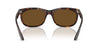 Ray-Ban Balorette RB2389 Havana/B-15 Brown #colour_havana-b-15-brown