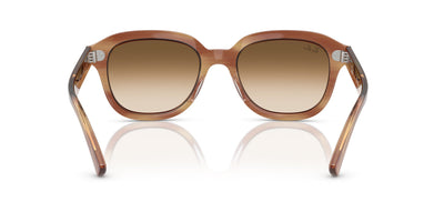 Ray-Ban Erik RB4398 Striped Brown/Clear Brown Gradient #colour_striped-brown-clear-brown-gradient