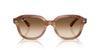 Ray-Ban Erik RB4398 Striped Brown/Clear Brown Gradient #colour_striped-brown-clear-brown-gradient