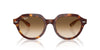 Ray-Ban Gina RB4399 Light Havana On Multicolour/Clear Brown Gradient #colour_light-havana-on-multicolour-clear-brown-gradient