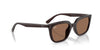 Ray-Ban RB4439D Opal Brown/Dark Brown #colour_opal-brown-dark-brown