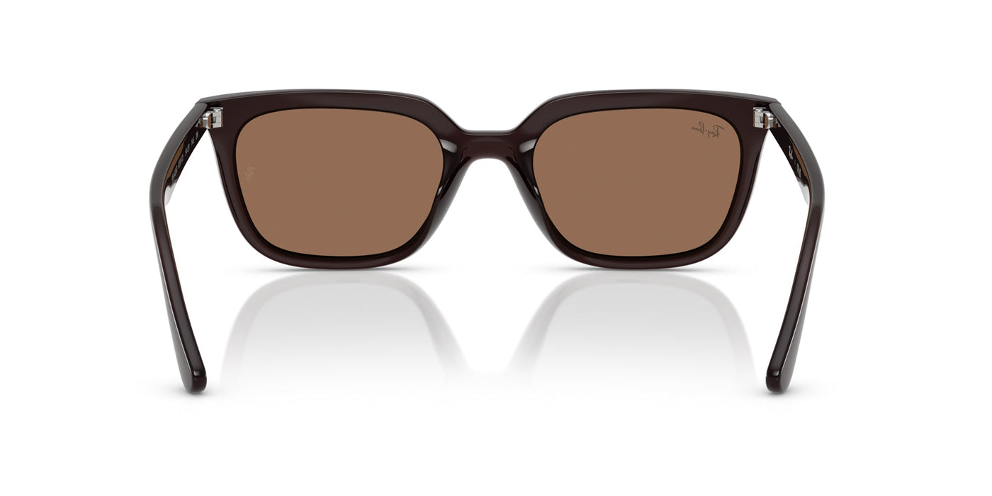 Ray-Ban RB4439D Opal Brown/Dark Brown #colour_opal-brown-dark-brown