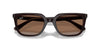 Ray-Ban RB4439D Opal Brown/Dark Brown #colour_opal-brown-dark-brown