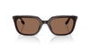 Ray-Ban RB4439D Opal Brown/Dark Brown #colour_opal-brown-dark-brown