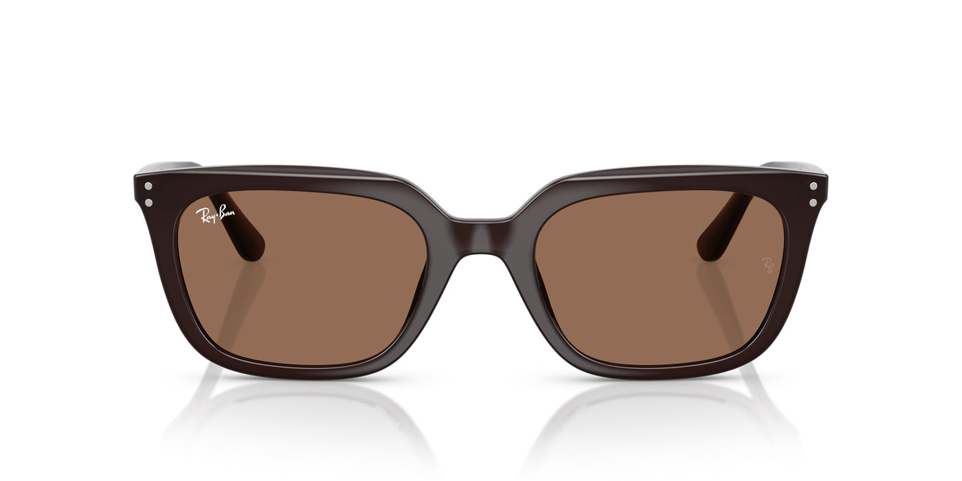 Ray-Ban RB4439D Opal Brown/Dark Brown #colour_opal-brown-dark-brown