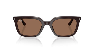 Ray-Ban RB4439D Opal Brown/Dark Brown #colour_opal-brown-dark-brown