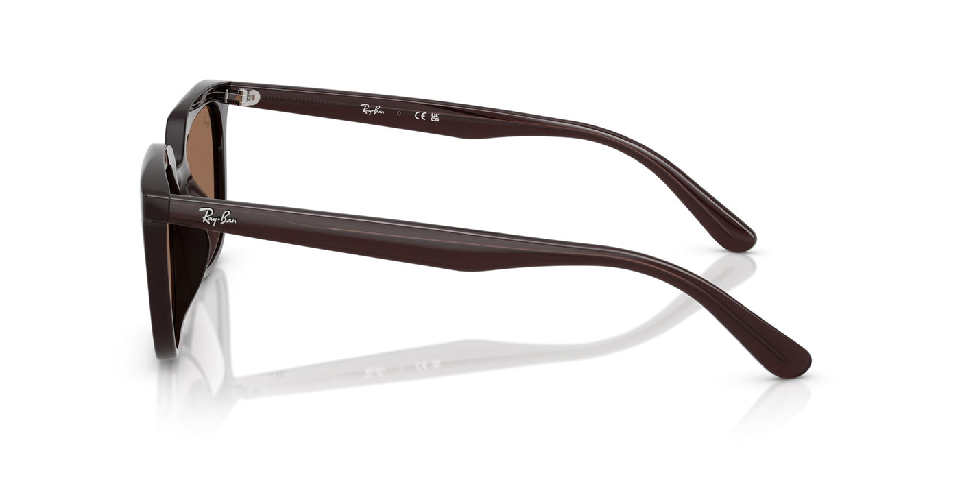 Ray-Ban RB4439D Opal Brown/Dark Brown #colour_opal-brown-dark-brown