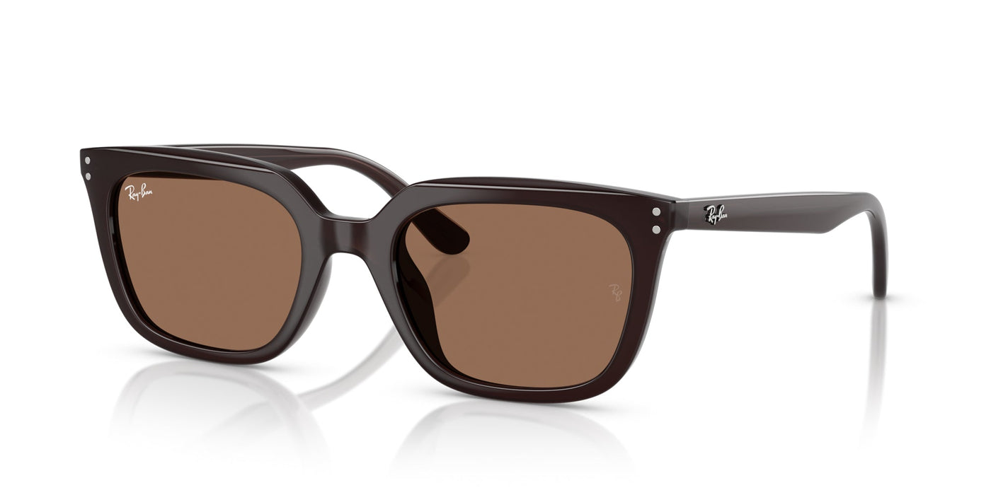 Ray-Ban RB4439D Opal Brown/Dark Brown #colour_opal-brown-dark-brown