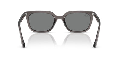 Ray-Ban RB4439D Transparent Grey/Dark Grey #colour_transparent-grey-dark-grey