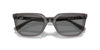 Ray-Ban RB4439D Transparent Grey/Dark Grey #colour_transparent-grey-dark-grey