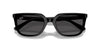 Ray-Ban RB4439D Black/Dark Grey #colour_black-dark-grey