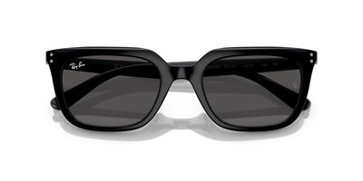 Ray-Ban RB4439D Black/Dark Grey #colour_black-dark-grey