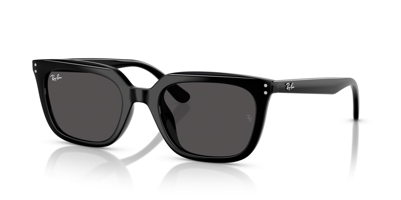 Ray-Ban RB4439D Black/Dark Grey #colour_black-dark-grey