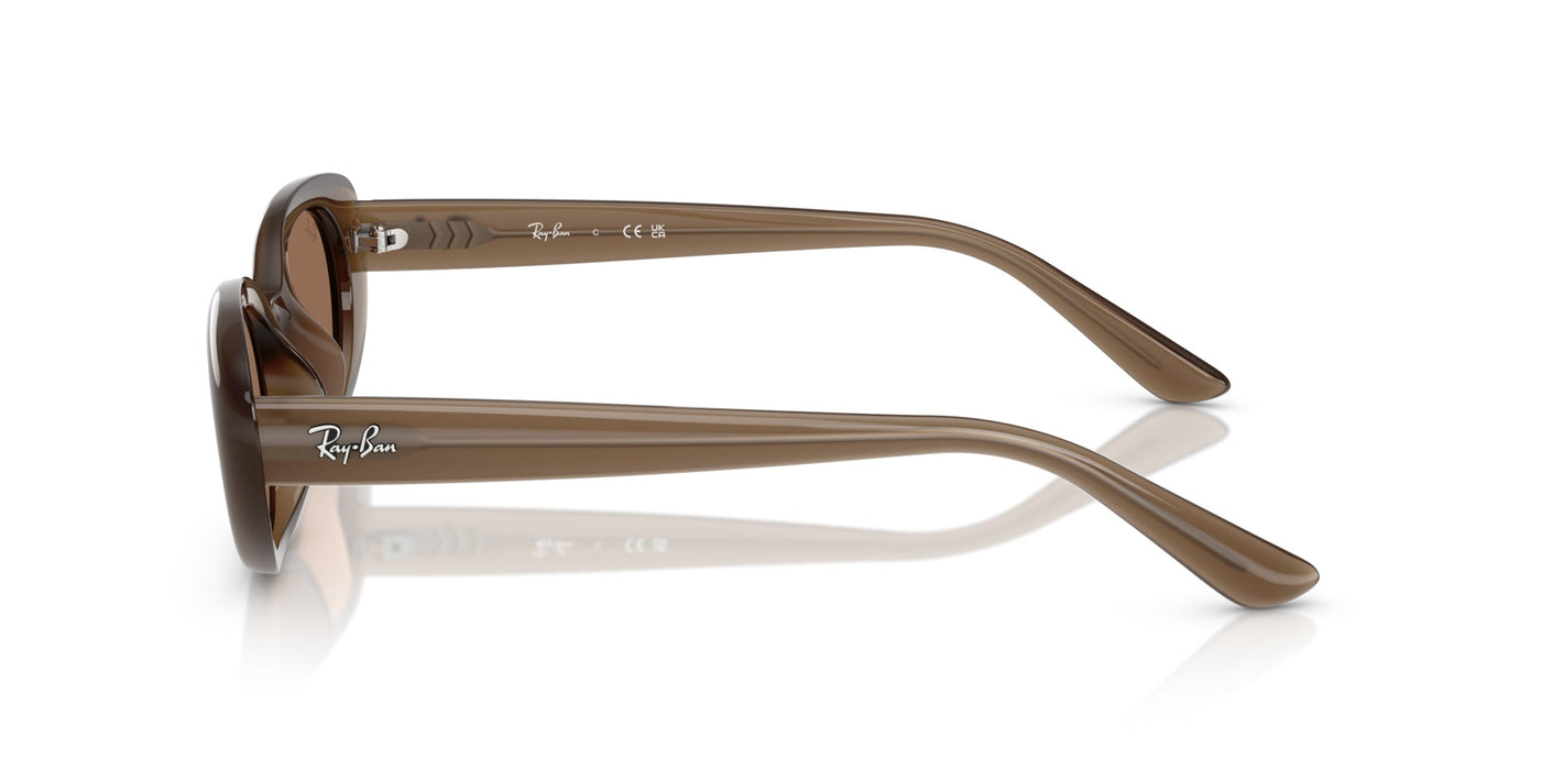 Ray-Ban RB4441D Opal Brown/Dark Brown #colour_opal-brown-dark-brown