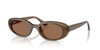 Ray-Ban RB4441D Opal Brown/Dark Brown #colour_opal-brown-dark-brown