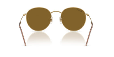 Ray-Ban Round Reverse RBR0103S Arista Gold/Brown #colour_arista-gold-brown