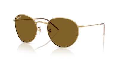 Ray-Ban Round Reverse RBR0103S Arista Gold/Brown #colour_arista-gold-brown