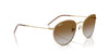 Ray-Ban Round Reverse RBR0103S Arista Gold/Clear Brown Gradient #colour_arista-gold-clear-brown-gradient