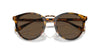 Ralph Lauren The Quincy RL8223 Antique Havana/Brown #colour_antique-havana-brown