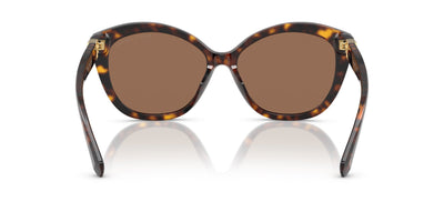 Ralph Lauren RL8225U Dark Havana/Brown #colour_dark-havana-brown