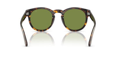 Ralph Lauren RL8229U Dark Havana/Solid Green #colour_dark-havana-solid-green