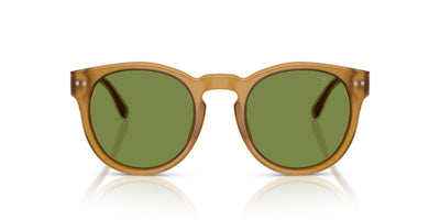 Ralph Lauren RL8229U Opal Honey/Solid Green #colour_opal-honey-solid-green