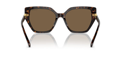 Swarovski SK6016 Dark Havana/Dark Brown #colour_dark-havana-dark-brown