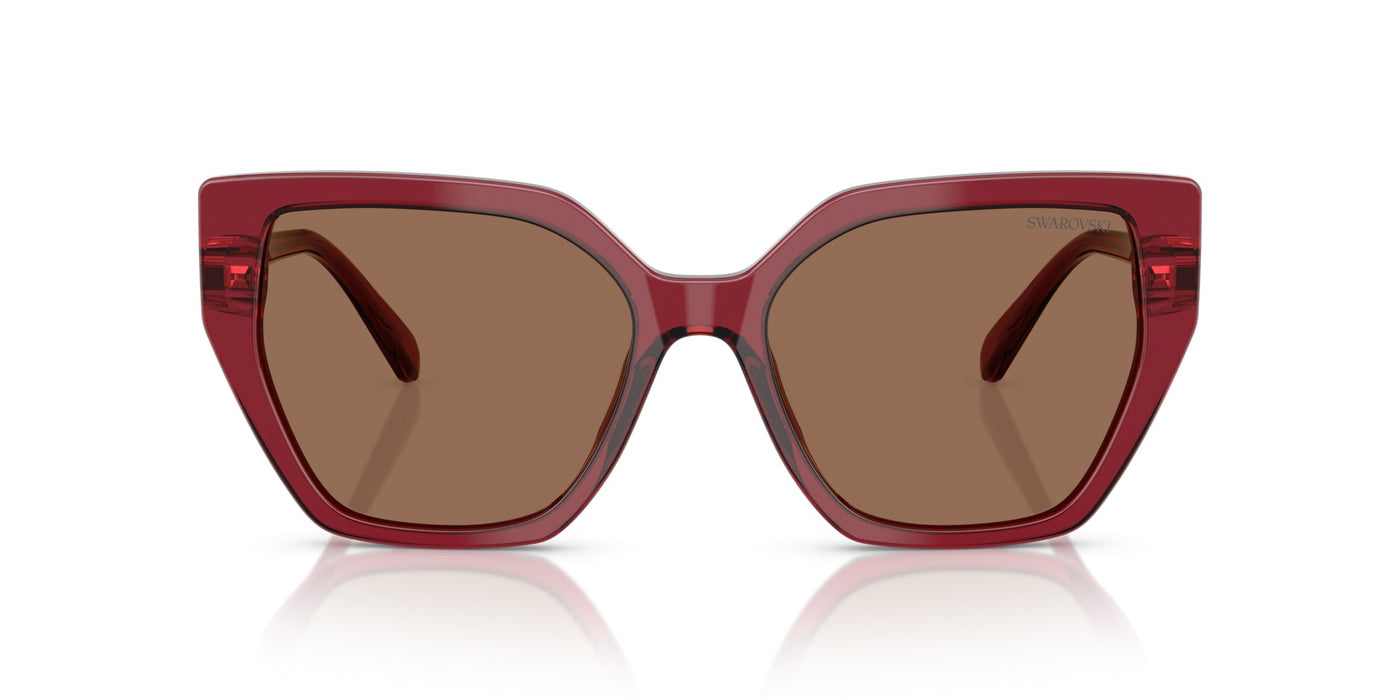 Swarovski SK6016 Transparent Burgundy/Dark Brown #colour_transparent-burgundy-dark-brown