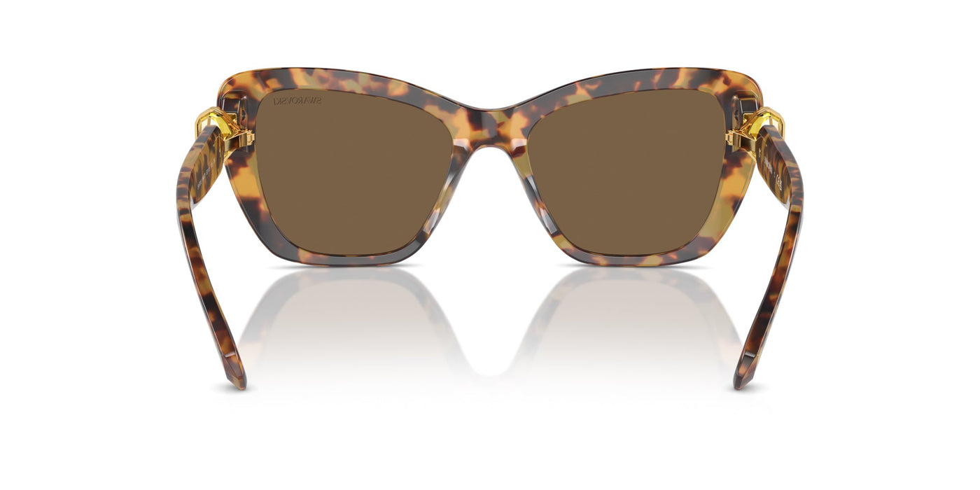 Swarovski SK6018 Havana Media/Dark Brown #colour_havana-media-dark-brown