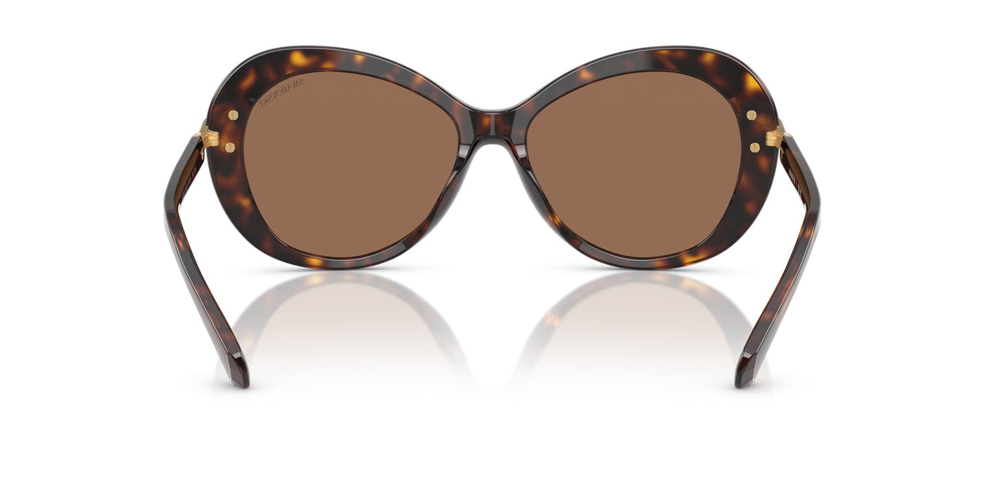 Swarovski SK6026 Havana/Dark Brown #colour_havana-dark-brown