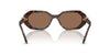 Swarovski SK6028 Dark Havana/Dark Brown #colour_dark-havana-dark-brown