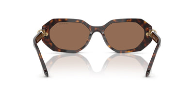 Swarovski SK6028 Dark Havana/Dark Brown #colour_dark-havana-dark-brown