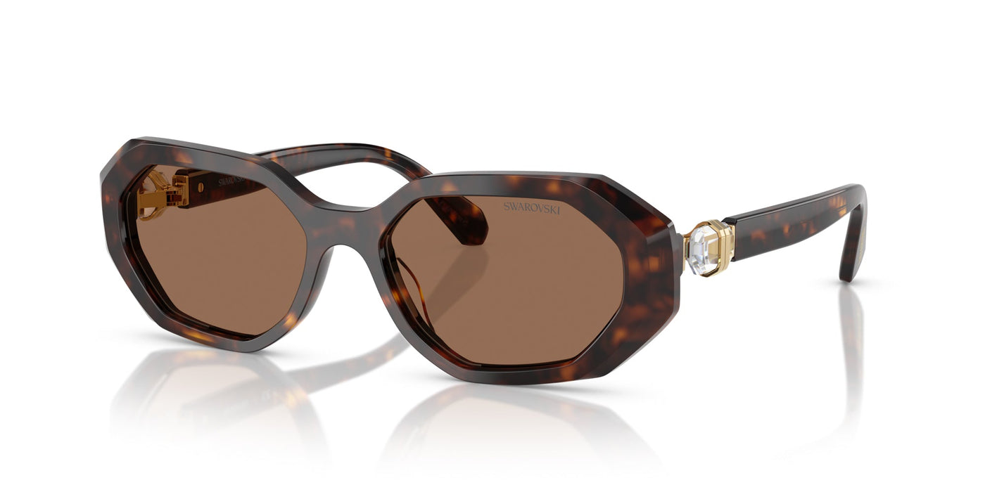 Swarovski SK6028 Dark Havana/Dark Brown #colour_dark-havana-dark-brown