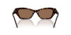 Swarovski SK6029 Dark Havana/Dark Brown #colour_dark-havana-dark-brown