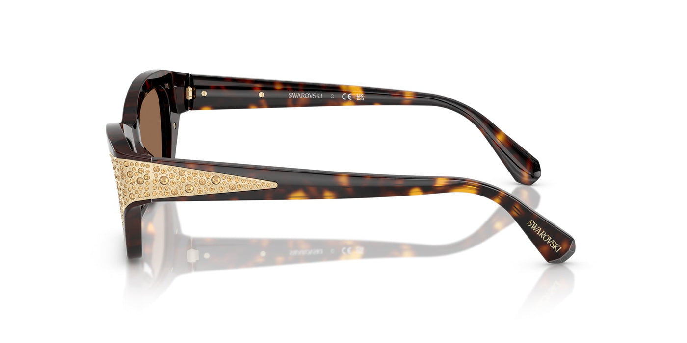 Swarovski SK6029 Dark Havana/Dark Brown #colour_dark-havana-dark-brown