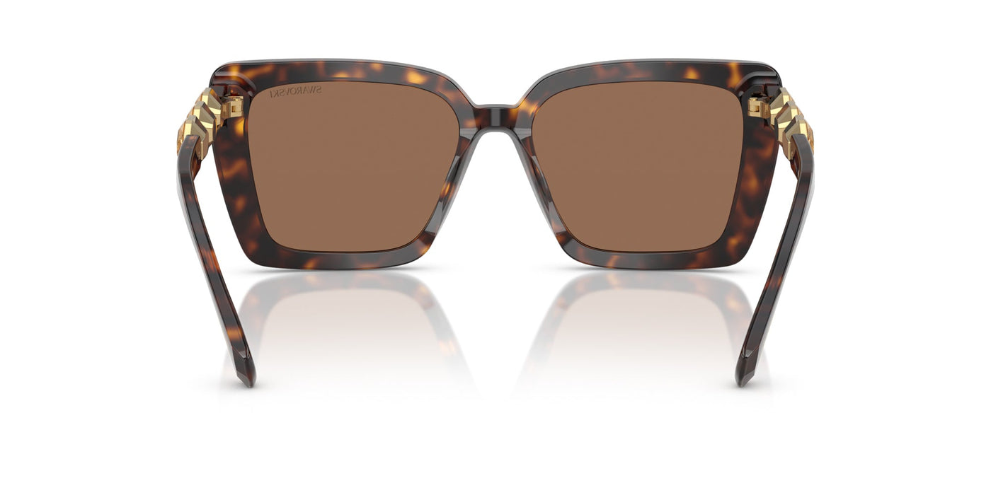 Swarovski SK6032 Havana/Dark Brown #colour_havana-dark-brown