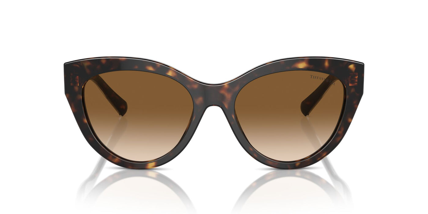 Tiffany TF4220 Havana/Clear Brown Gradient #colour_havana-clear-brown-gradient