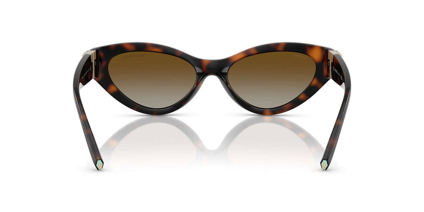 Tiffany TF4225U Havana/Brown Gradient #colour_havana-brown-gradient