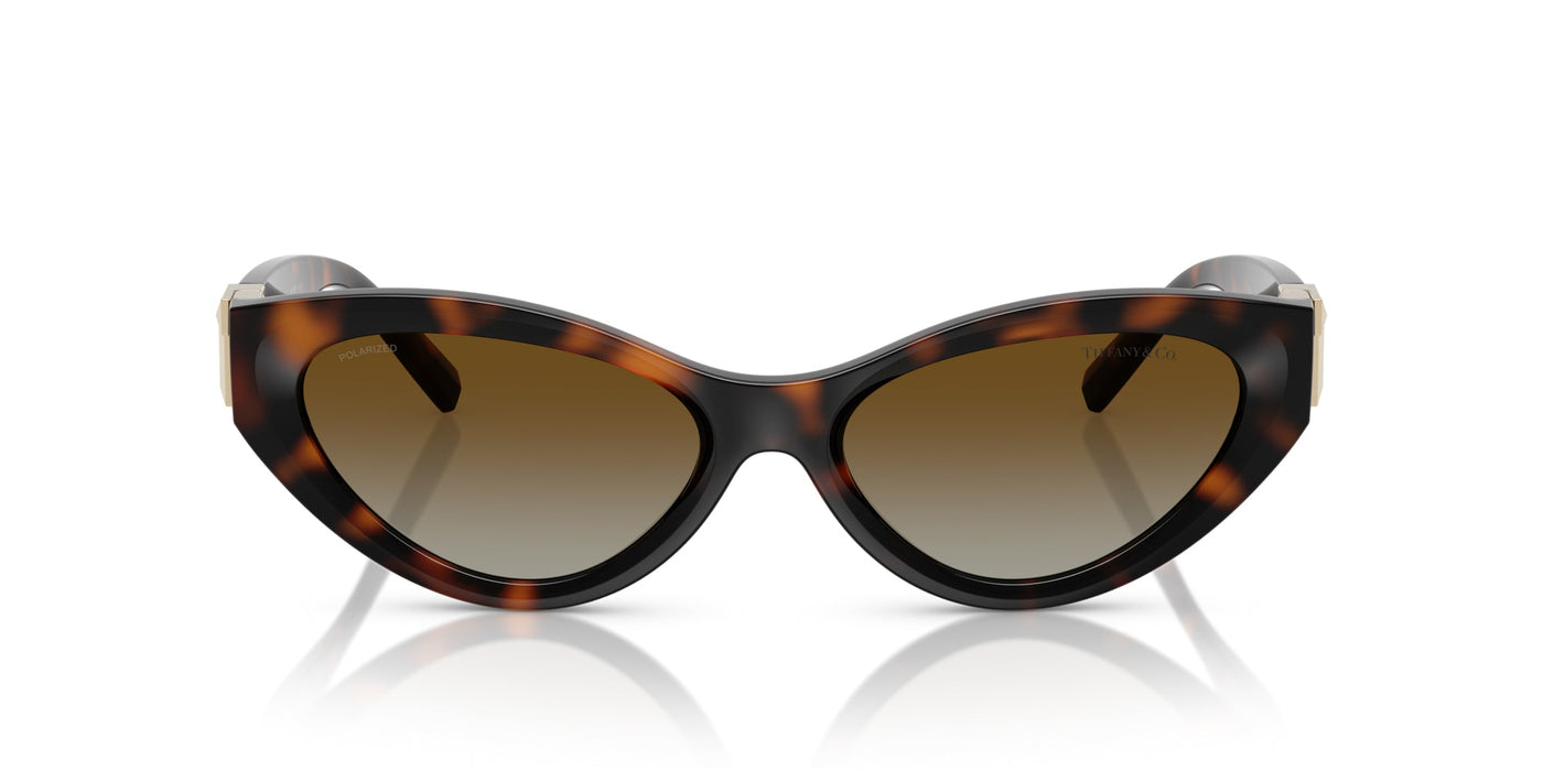 Tiffany TF4225U Havana/Brown Gradient #colour_havana-brown-gradient