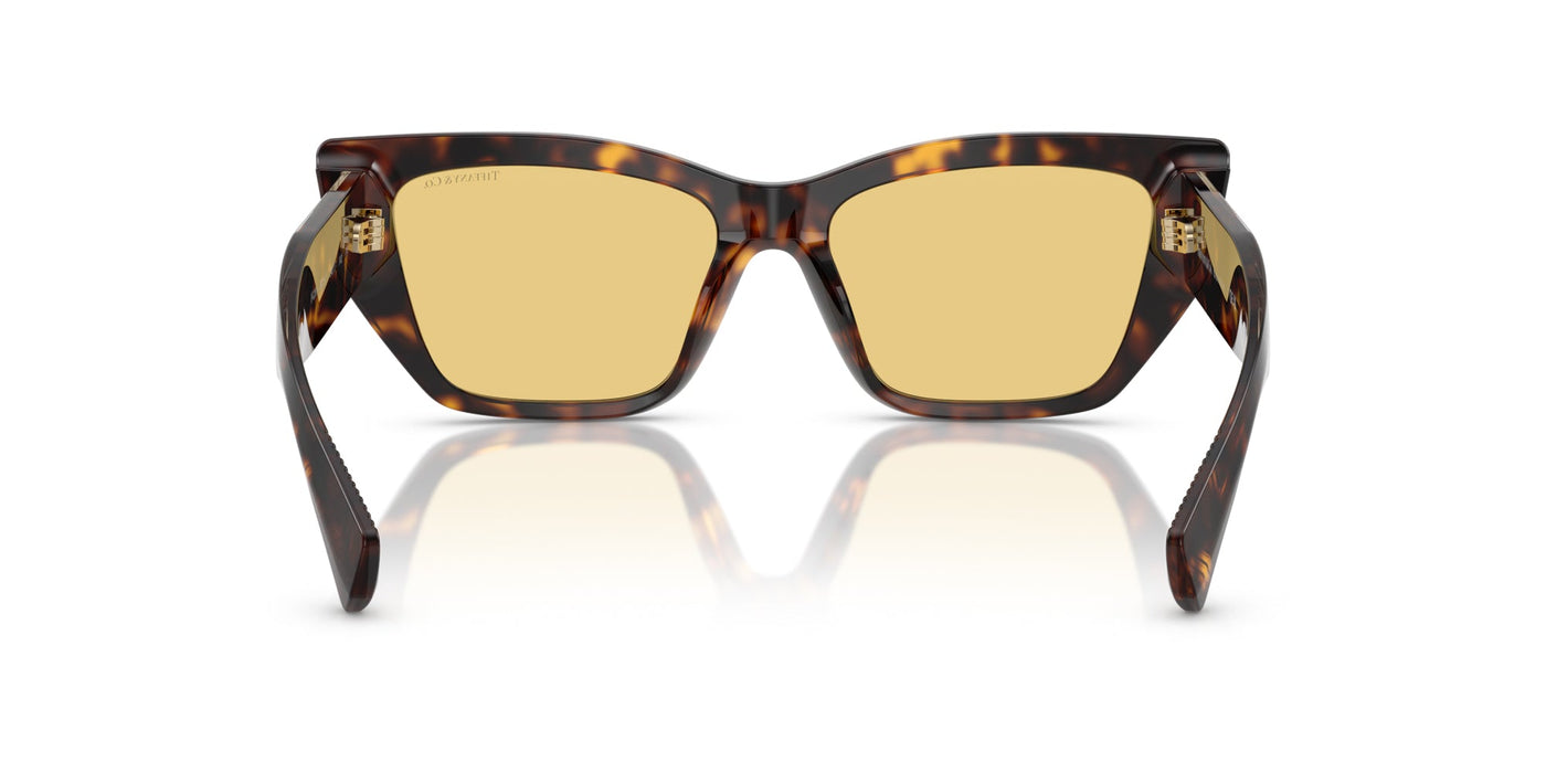 Tiffany TF4230 Havana/Orange #colour_havana-orange