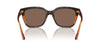 Vogue Eyewear VO5558S Havana/Transparent Brown Glitter/Dark Brown #colour_havana-transparent-brown-glitter-dark-brown