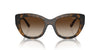 Vogue Eyewear VO5567S Top Dark Havana/Light Brown/Brown Gradient #colour_top-dark-havana-light-brown-brown-gradient