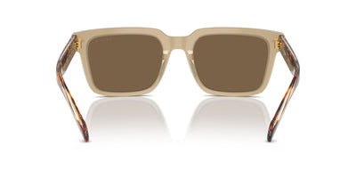 Vogue Eyewear VO5573S Opal Beige/Dark Brown #colour_opal-beige-dark-brown