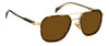 David Beckham DB1161/S Havana Gold/Brown #colour_havana-gold-brown