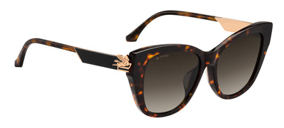 ETRO 0062/F/S Havana/Black Brown Green Antireflex Gradient #colour_havana-black-brown-green-antireflex-gradient