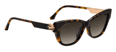 ETRO 0063/F/S Havana/Black Brown Green Antireflex Gradient #colour_havana-black-brown-green-antireflex-gradient