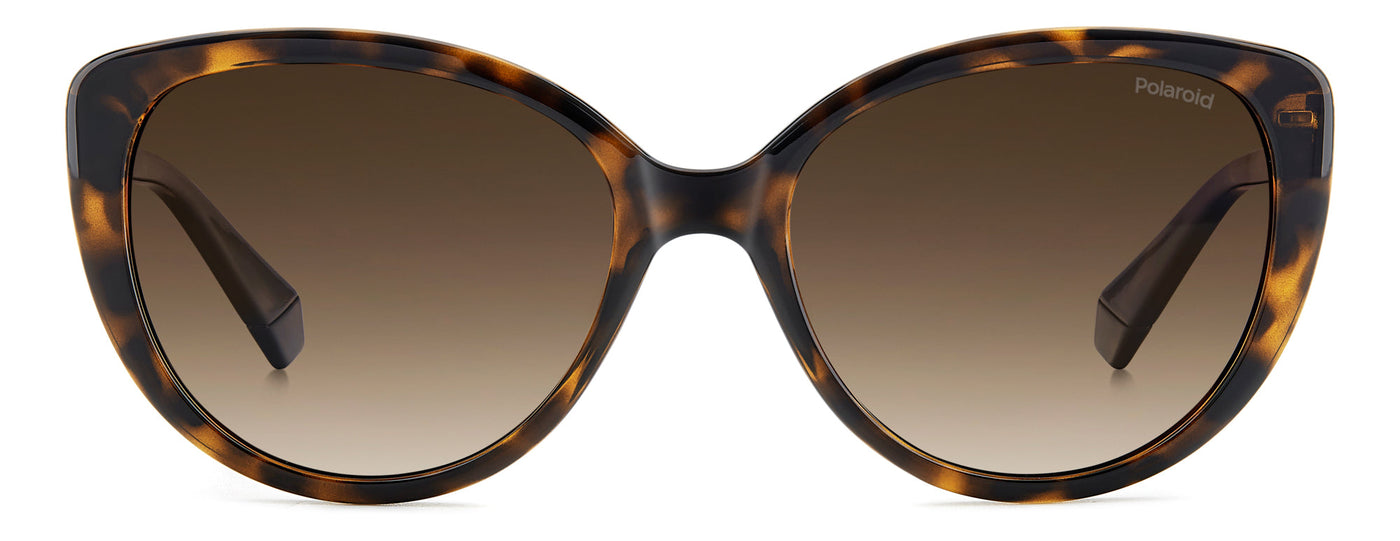 Polaroid PLD 4176/S/X Havana/Brown Shaded Polarised Mirror #colour_havana-brown-shaded-polarised-mirror