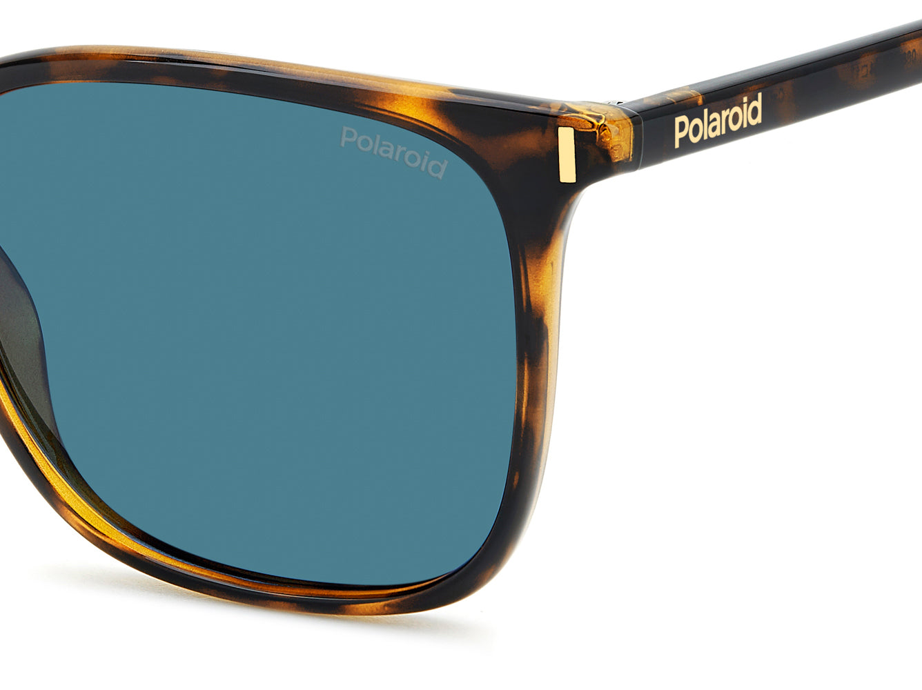 Polaroid PLD 6226/S Havana/Blue Polarised #colour_havana-blue-polarised